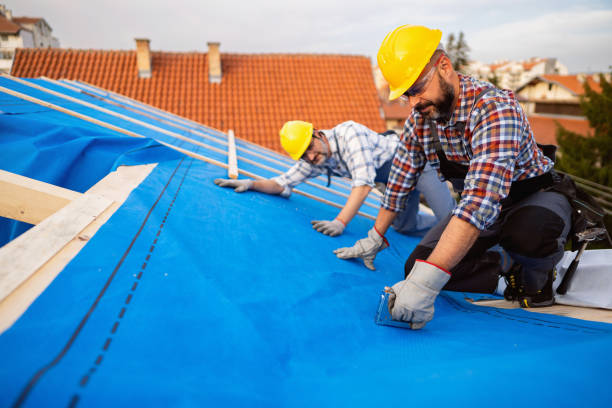 Best Roof Maintenance Services  in Cashmere, WA